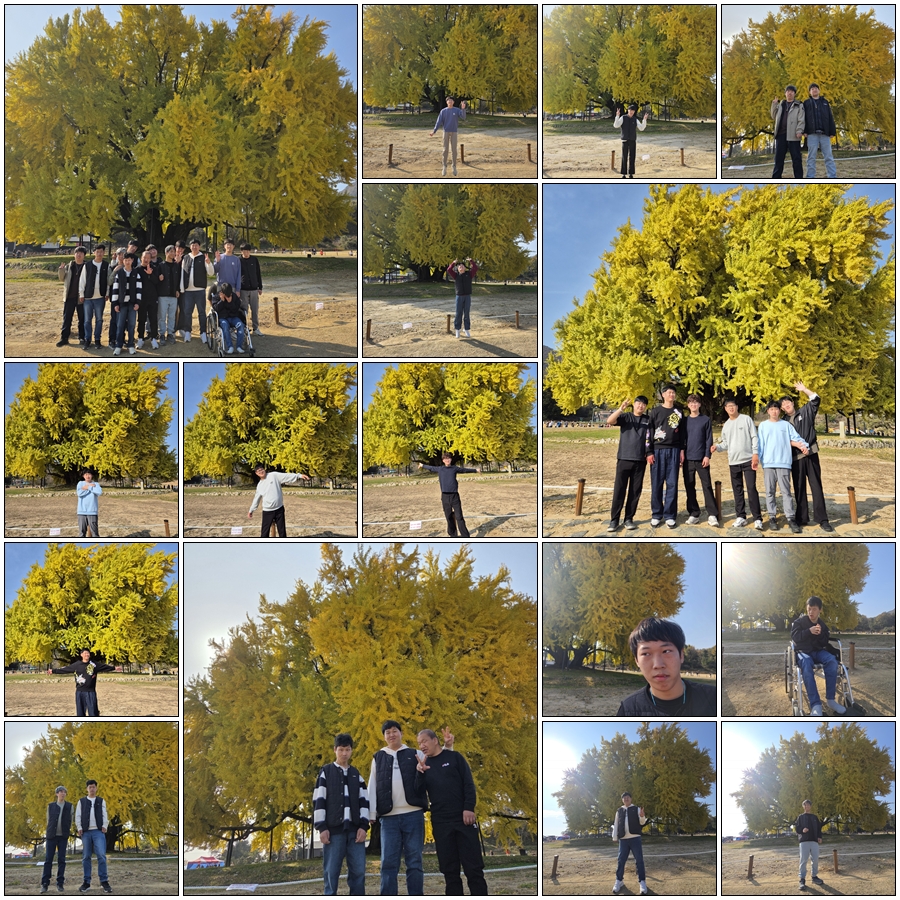 a2f06c9f9d7821a3d165cc5909c5a68f_1762742524_3317.jpg